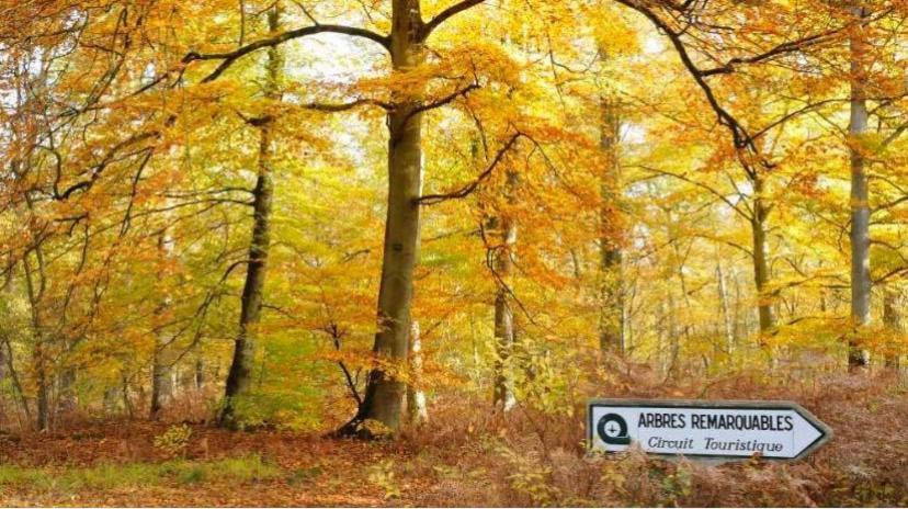 Gite La Bancloque Compiègne Esterno foto